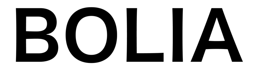 BOLIA - Prduct Business Case