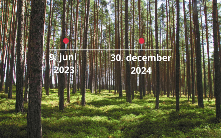 Opdatering på EU’s skovrydningsforordning (EUDR) – Tidslinje for implementering