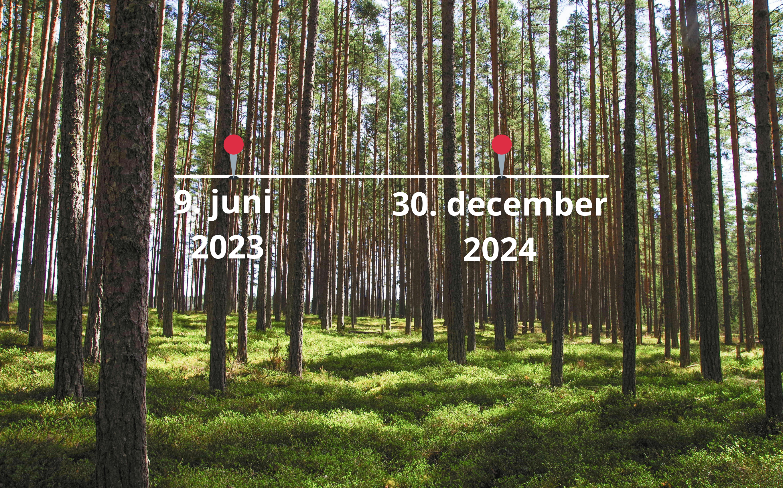Opdatering på EU’s skovrydningsforordning (EUDR) – Tidslinje for implementering