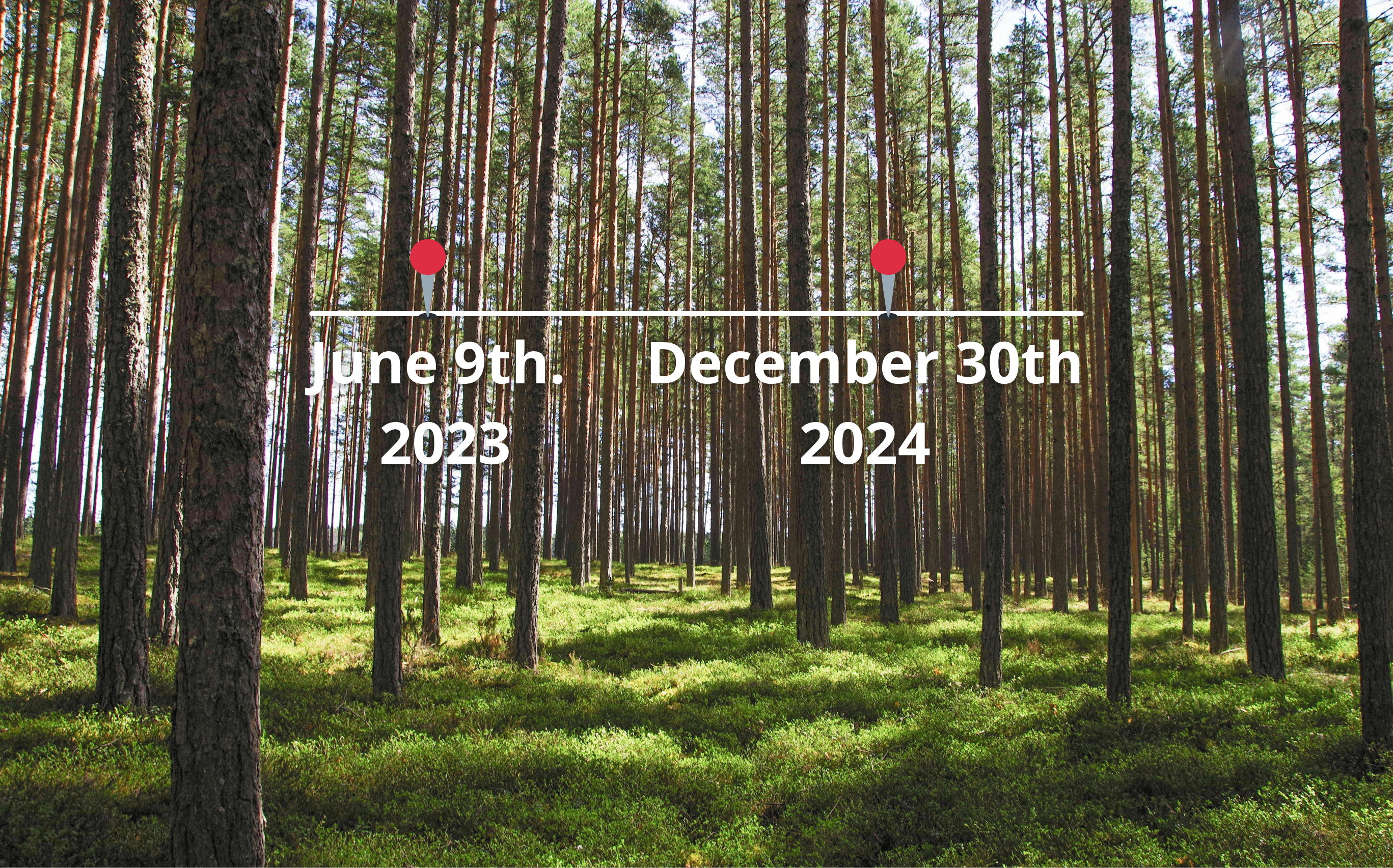 Update on the EU Deforestation Regulation (EUDR) – Implementation timeline