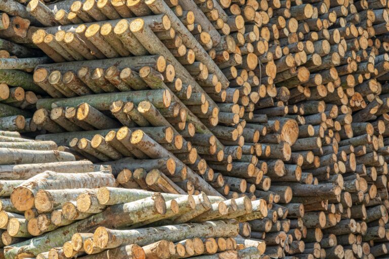 EUDR update in the building material industry
